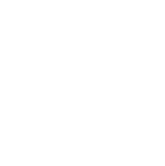 Icon LinkedIn